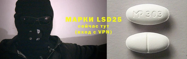 прущие грибы Бронницы